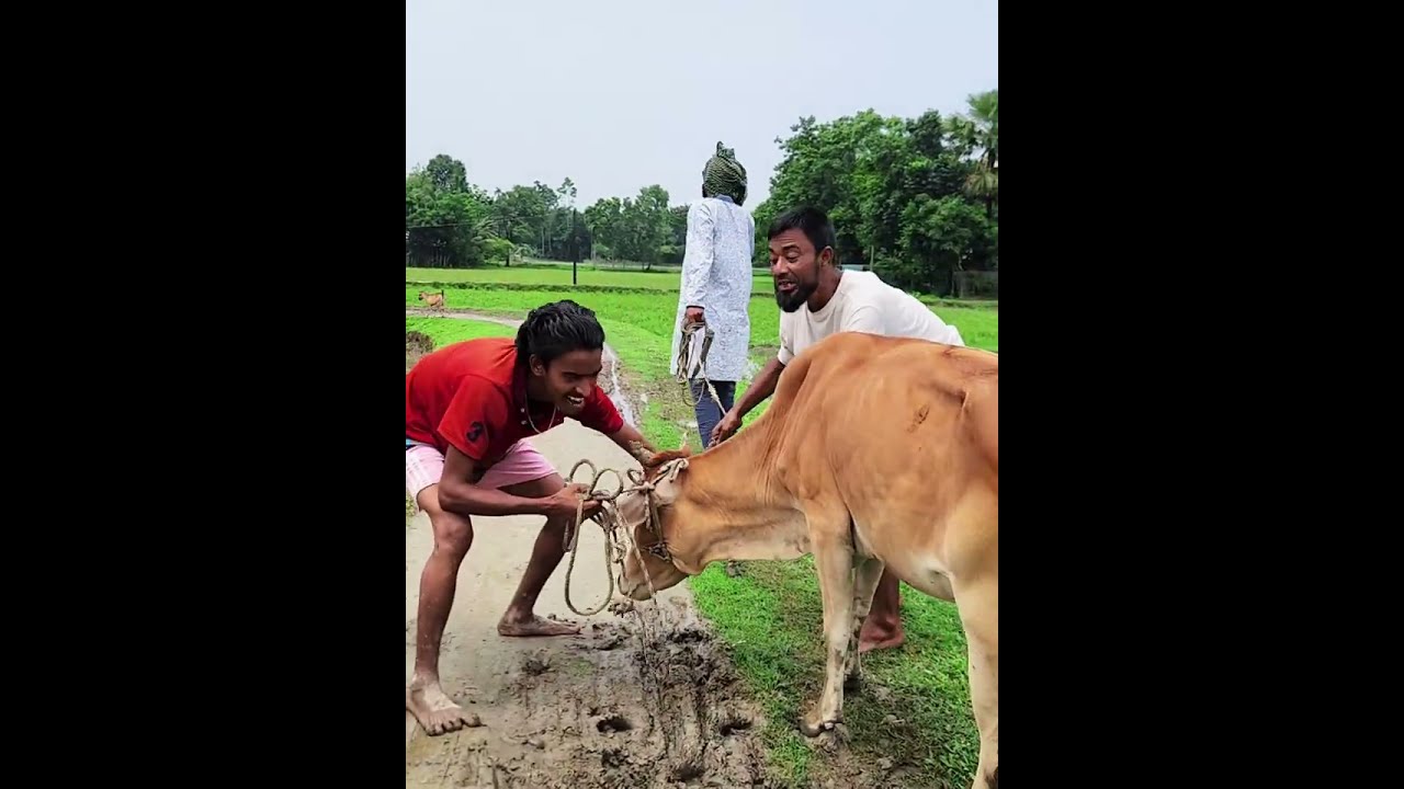 Best Bangla comedy video😅😅!!Active Indonesia