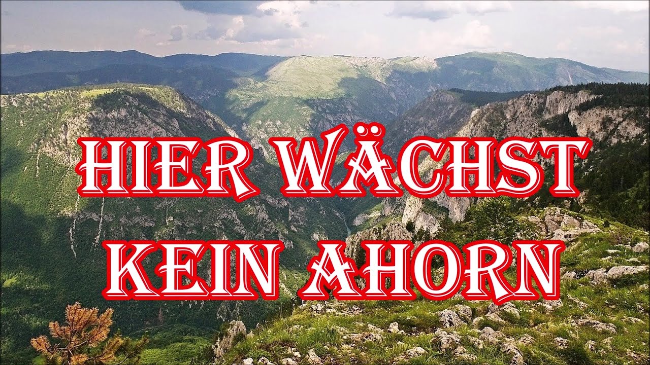 Hier wächst kein Ahorn (Dornen und Steine) - Fahrtenlied/German Hiking Song + English Translation