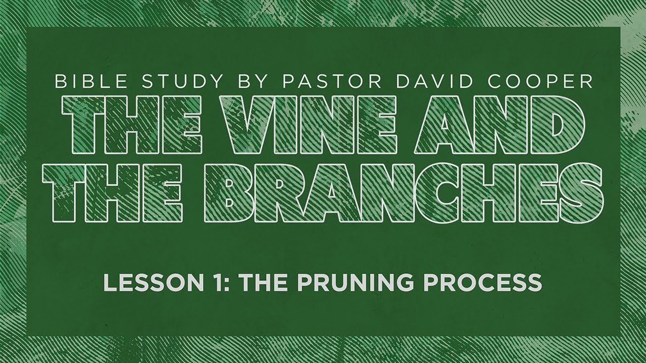 The Vine and The Branches - Lesson 1 - The Pruning Process