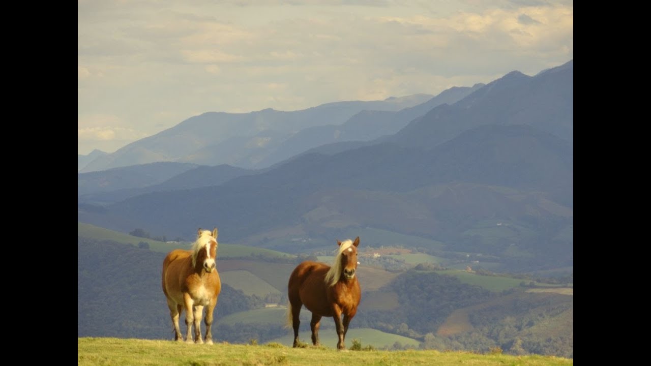 Randonn&eacute;e Tardets-Sorholus &agrave; la Madeleine ( Pyr&eacute;n&eacute;es-Atlantiques 64 ) variante route