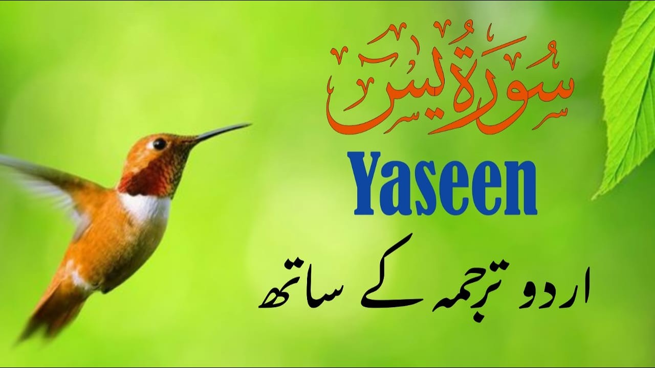 Surah Yaseen | Surah Yaseen With Urdu Translation | Episode - 134| Qari Athar Sahib