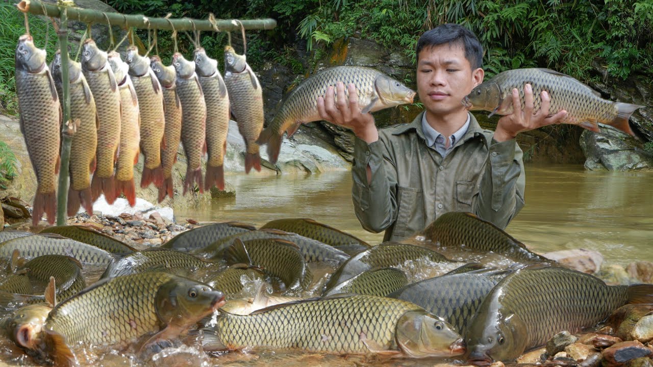 Encountered a giant school of carp in a swamp, Sum them all up in one basket