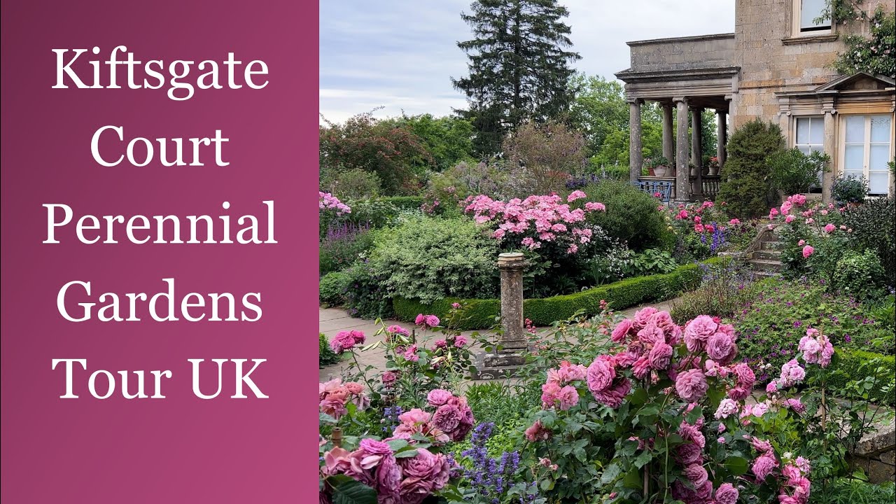 🌹 UK Kiftsgate Court Perennial Garden Walking Tour / Exotic Perennials / Gloucestershire, England