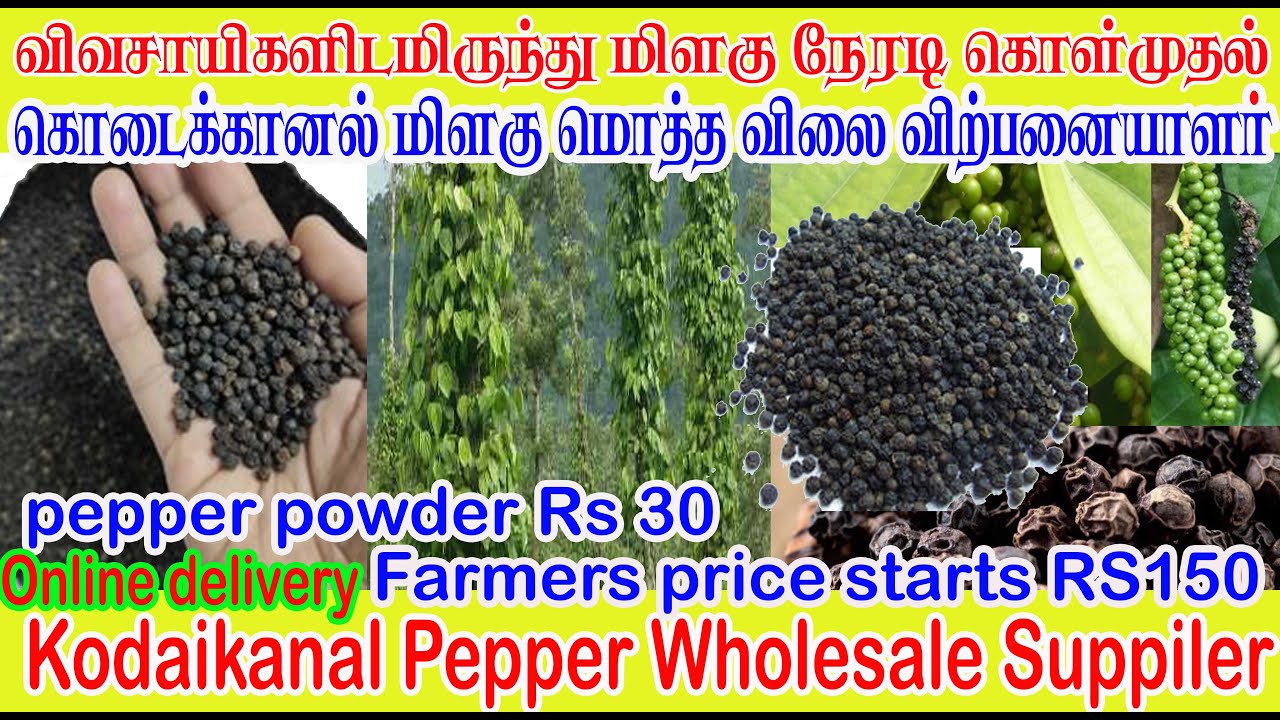 கொடைக்கானல் மிளகு மொத்த விற்பனையாளர் BLACK PEPPER WHOLESALER IN TAMILNADU Online Delivery Available