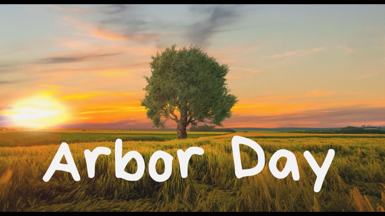 Arbor Day. Tree Planting Day. ESL/ESOL | English Portal