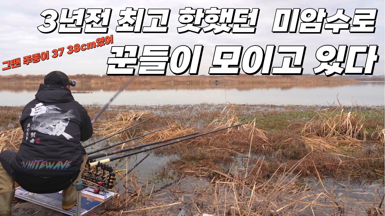 완벽한 반전을 이룬 미암수로// 여기 그만 들어오세요#붕어낚시 #BIG fishing