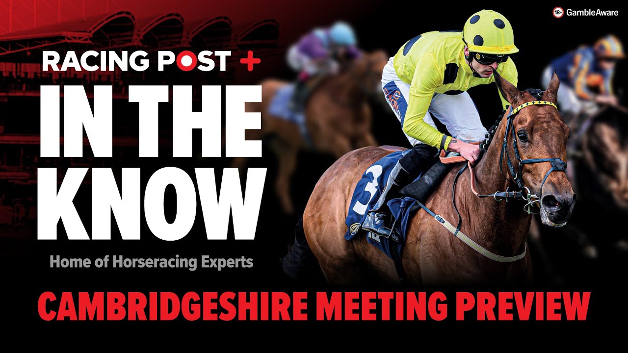 Cambridgeshire Meeting Preview | Tips from Paul Kealy & Tom Segal | In The Know