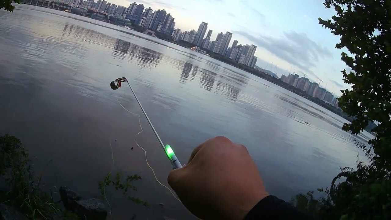 이촌 한강에서~ #한강 #장어낚시 #eelfishing