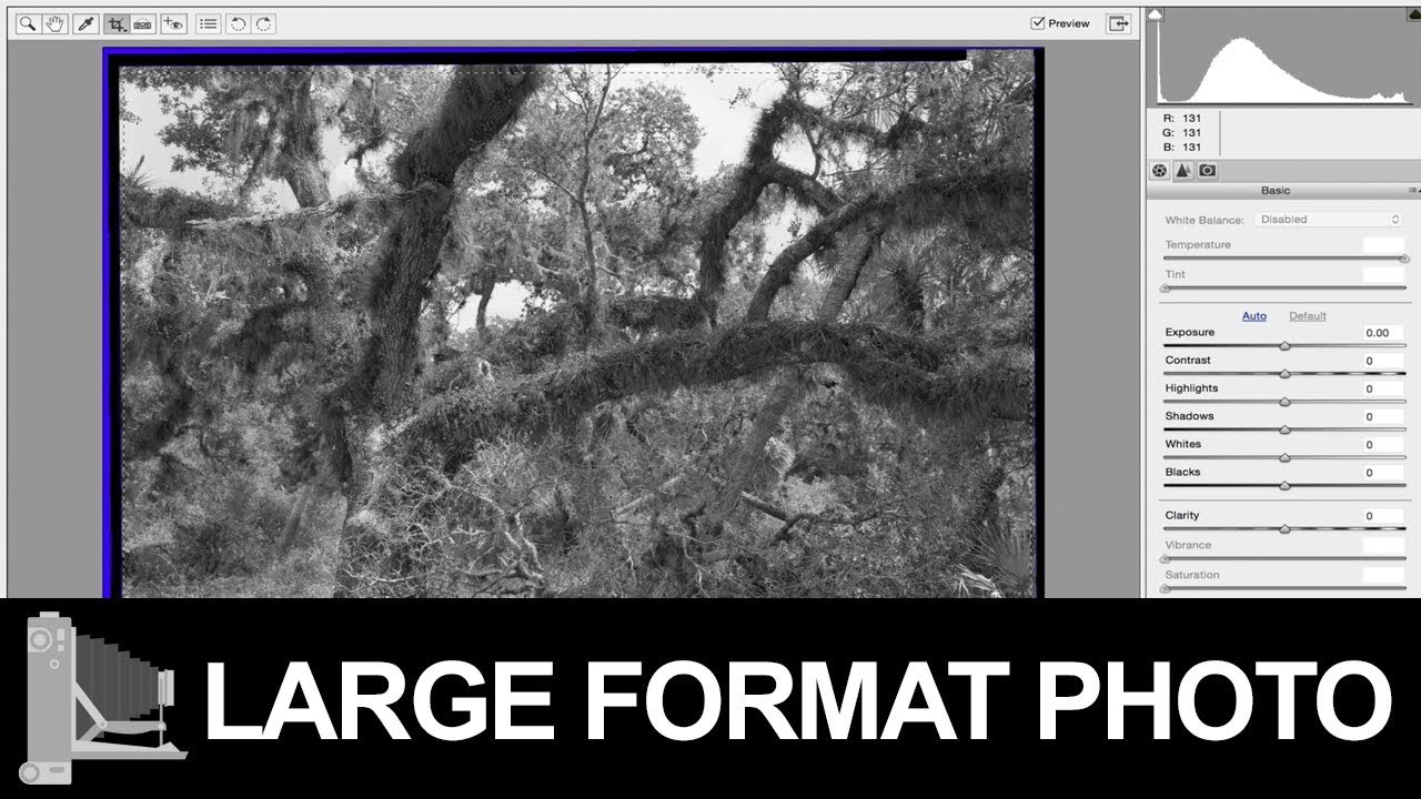 Large Format Film Negative With Ilford's Perceptol Developer