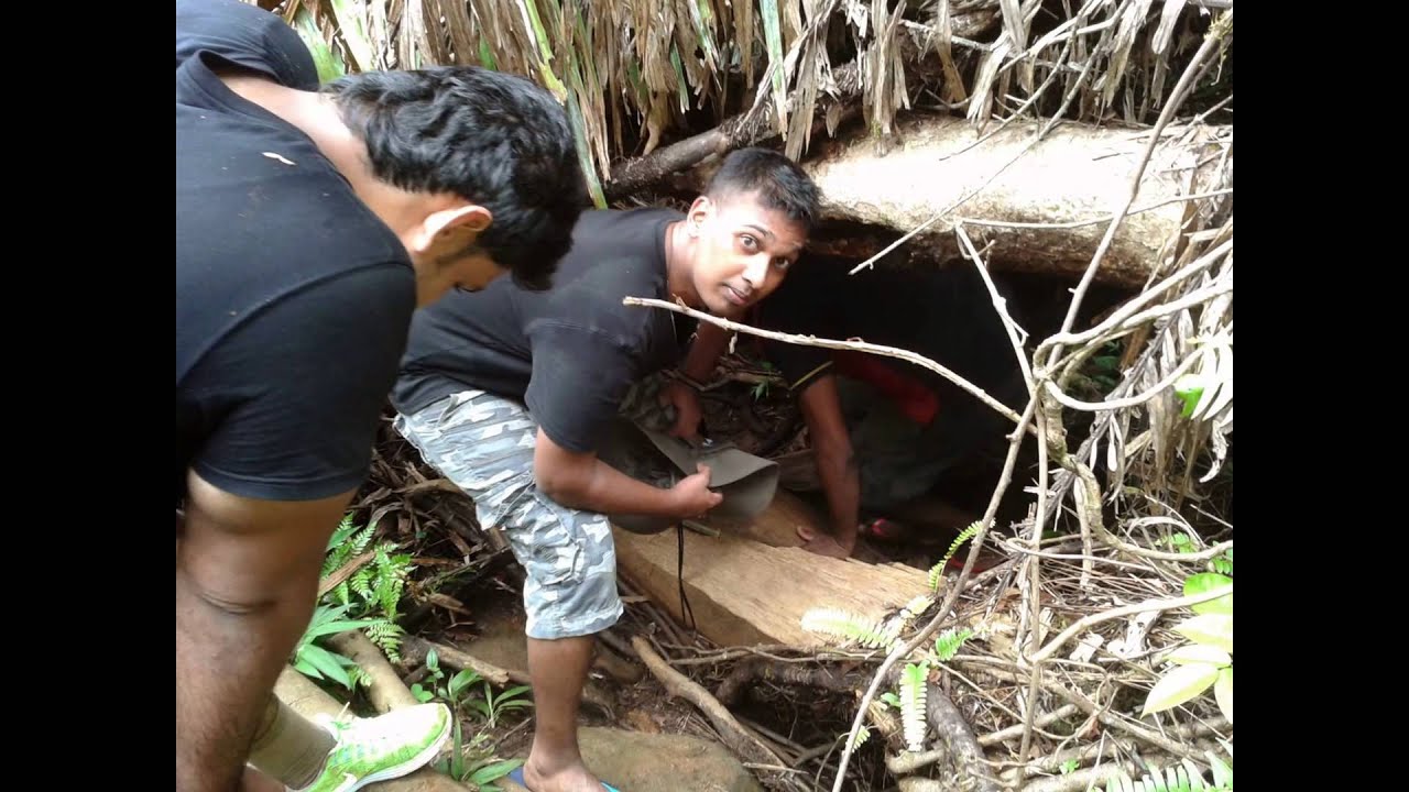 Sinharaja via Kalawana