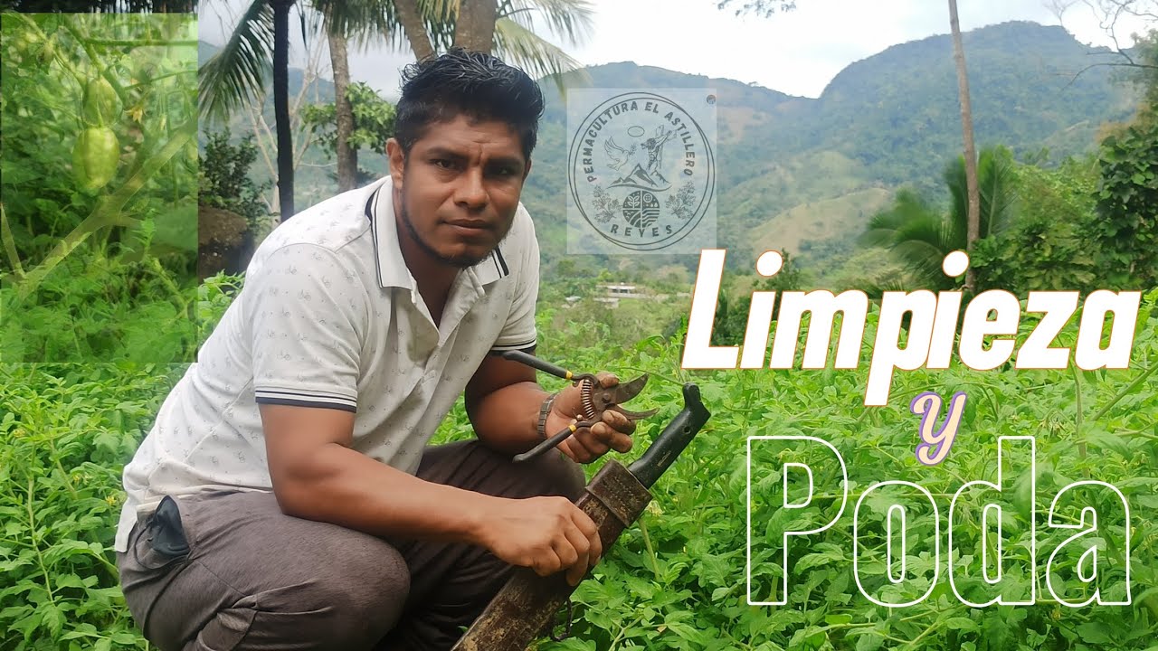 Cómo se Limpia una Producción Agricola sin Agroveneno 
