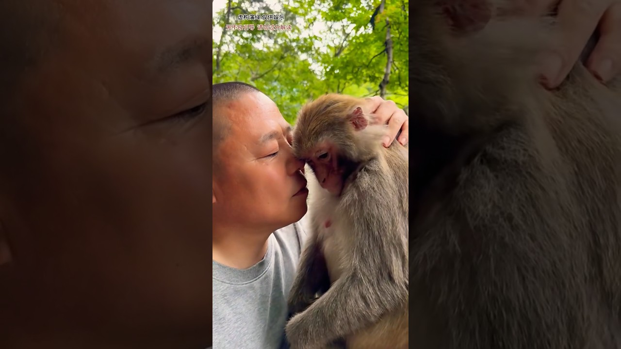 The monkey is crying 😭 #monkeycry #monkey #shorts