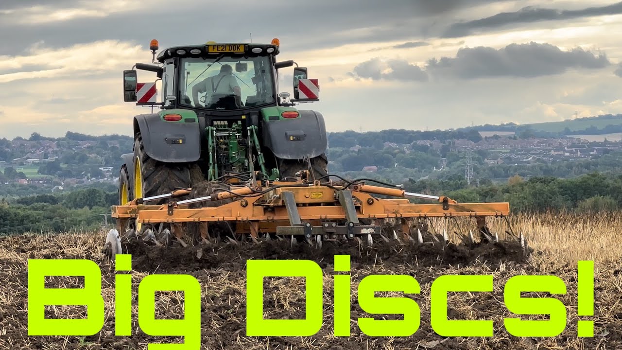 Big Simba Discs in Action! Mucking out… V Busy Day at the Farm!