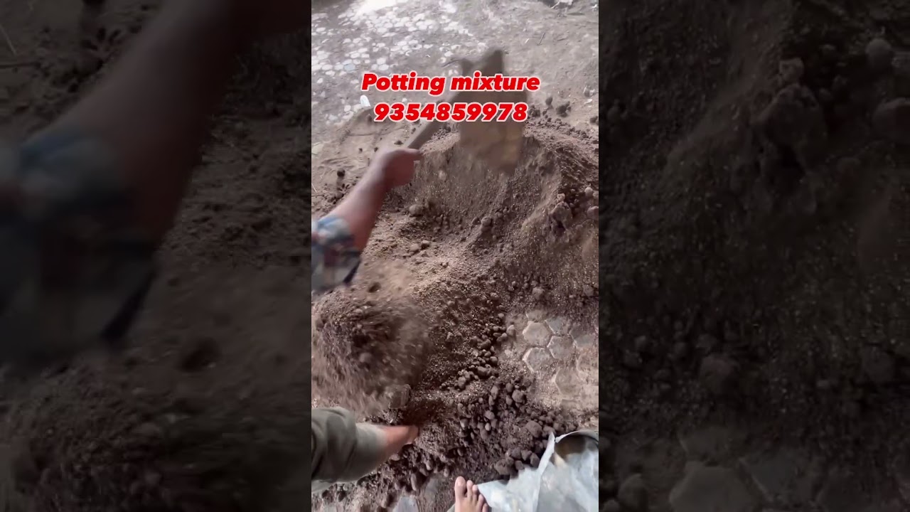 #pottingmixture #gardening #vermicompost #lawn #india #organicfarming #homegarden #championstrophy
