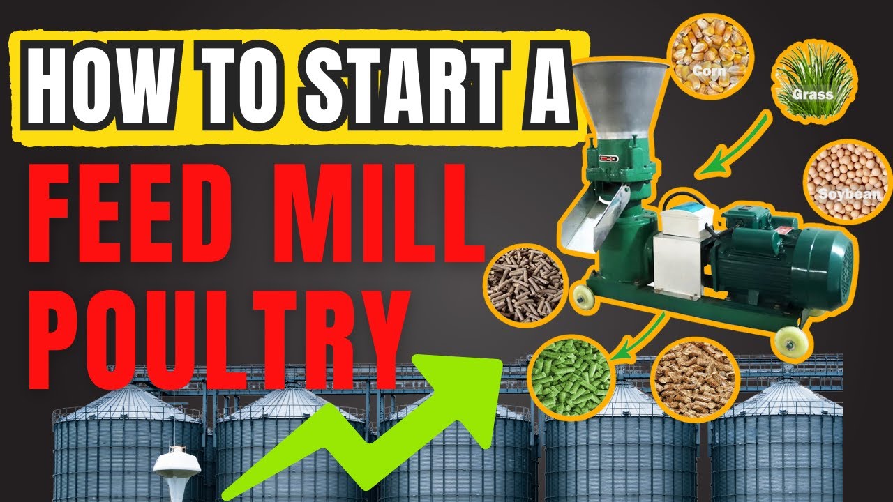 Feed Mill Poultry: How to Start a Feed Production Business | Startup Machinery