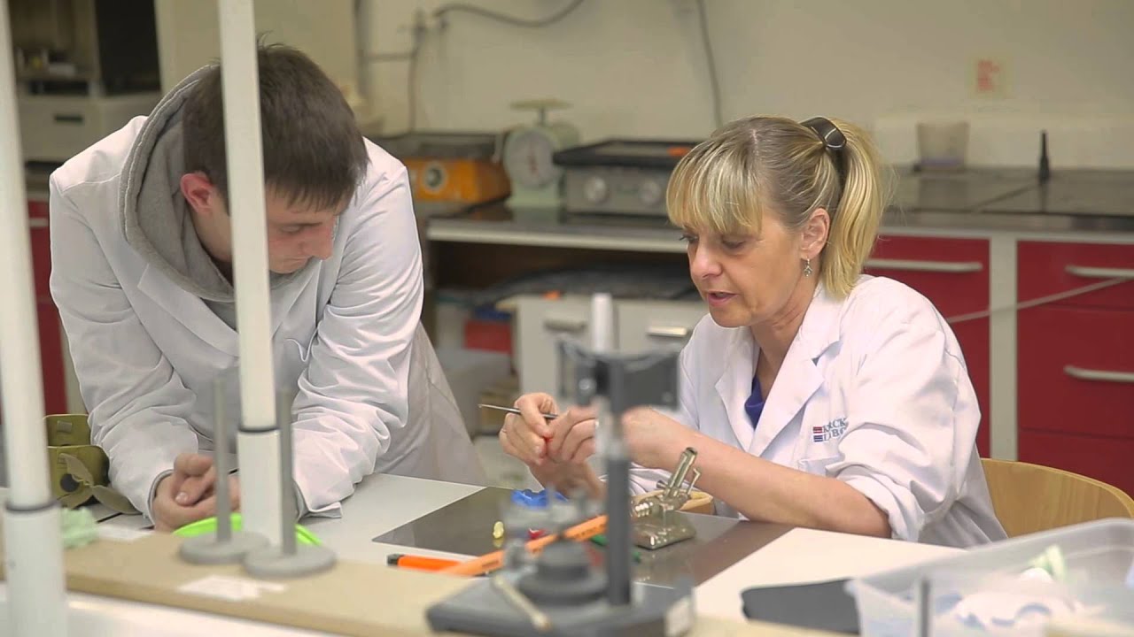 Opleiding dentaaltechnicus bij Syntra-AB