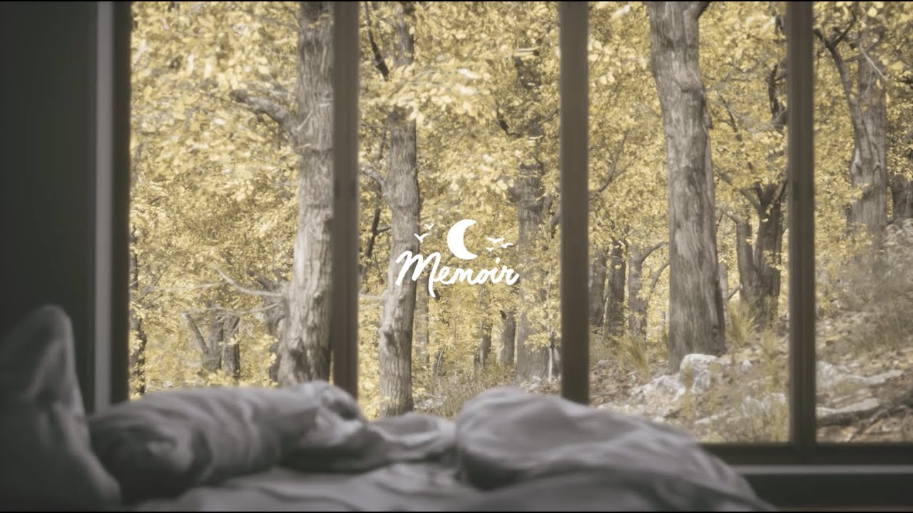 Chris Mazuera & tender spring - Staying In - lofi, chillout, ambient beats 🌙