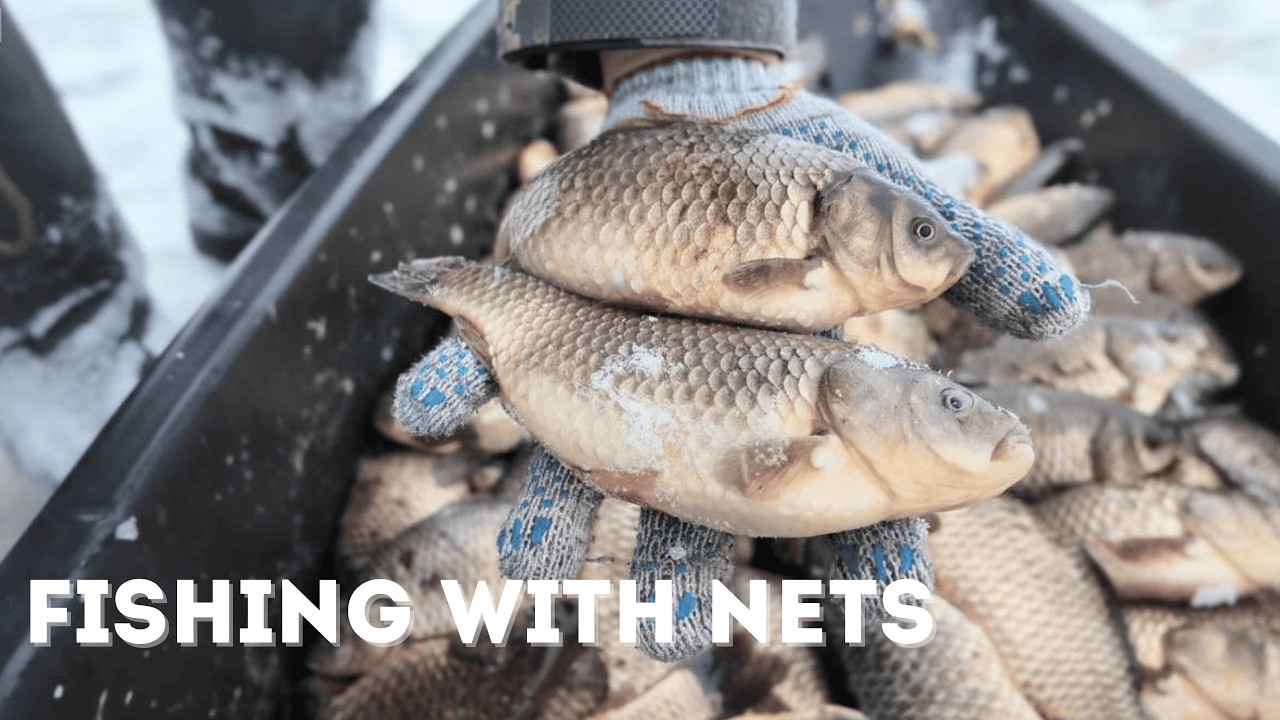 Frozen Lake Carp Fishing | Yakutia's Legendary Survival Technique