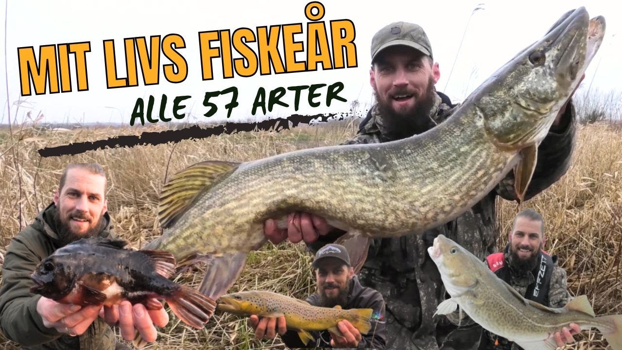 VANVITTIGT FISKEÅR - FANGEDE 57 FISKEARTER!!! // NATURNØRD 640