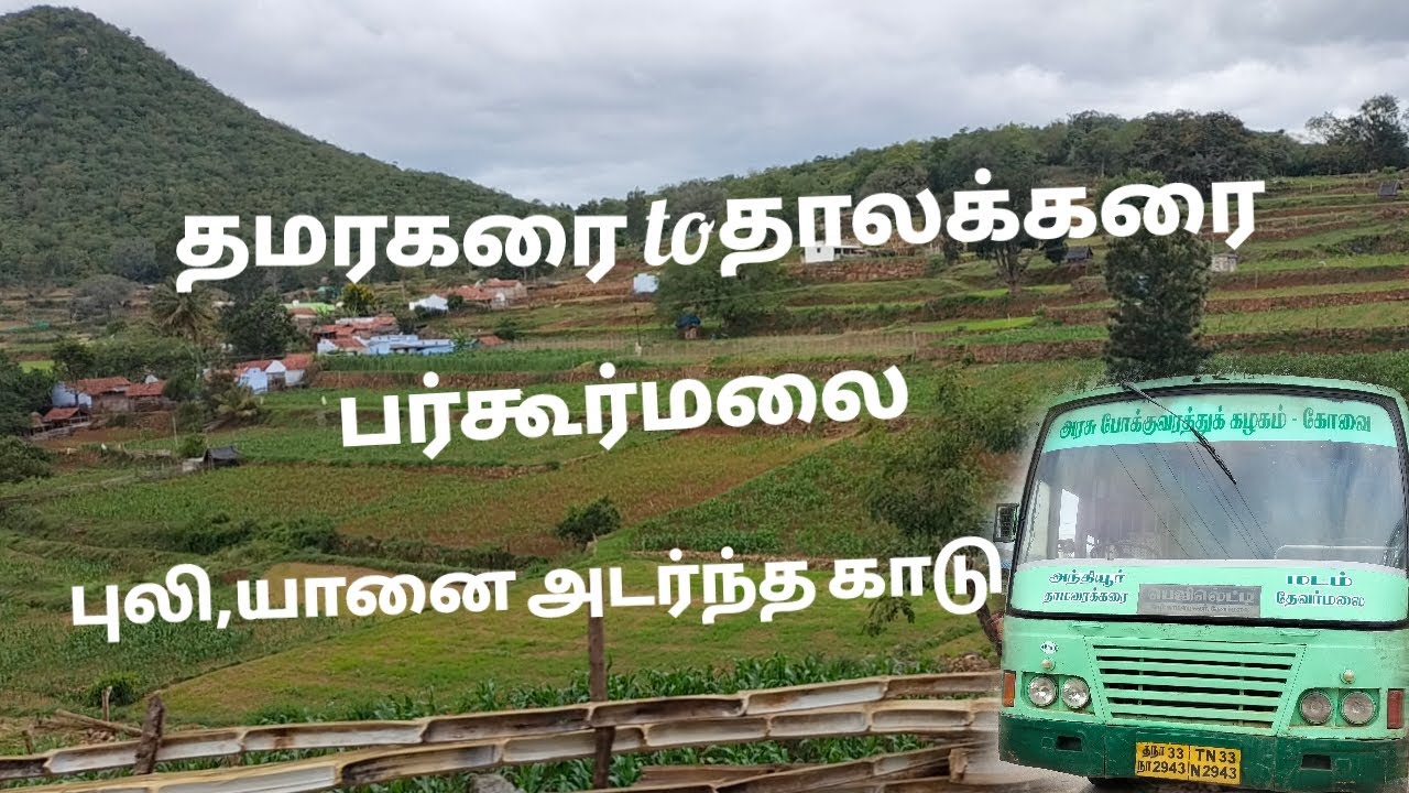 தமரகரை to தாலக்கரை/பேருந்து பயணம்/Thamarakarai/Thaalakarai/Burgur/Anthiyur/Erode/bus traval/