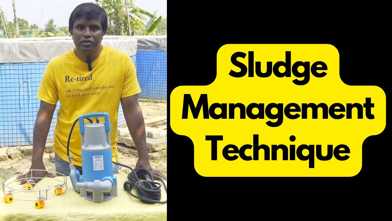 How to Remove Sludge from Biofloc Tank or Pond using Submersible Mud / Sewage Pump