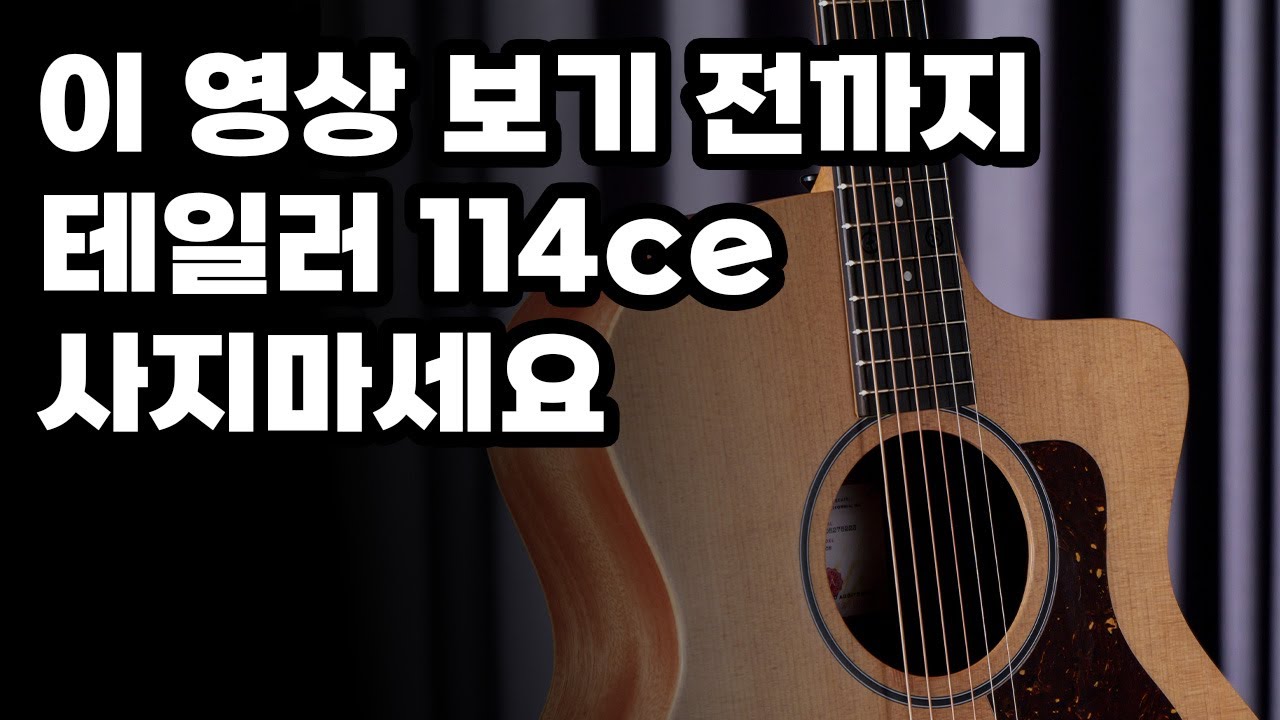 50만원이 더 저렴한데? 테일러 14ce / 24ce 신모델