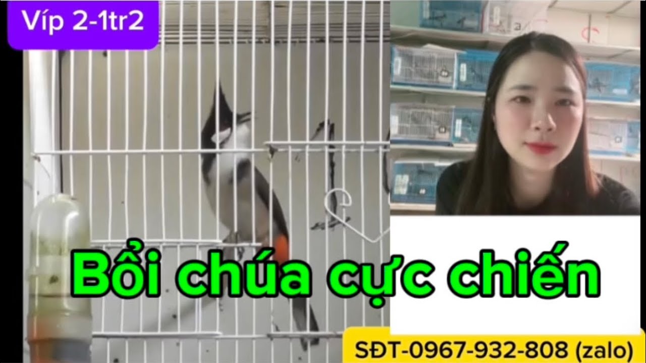 Chiều 3/3 Bổi Vip 💥 Bổi chúa chiến đét giá yêu thương, chia sẻ cùng anh em ♥️