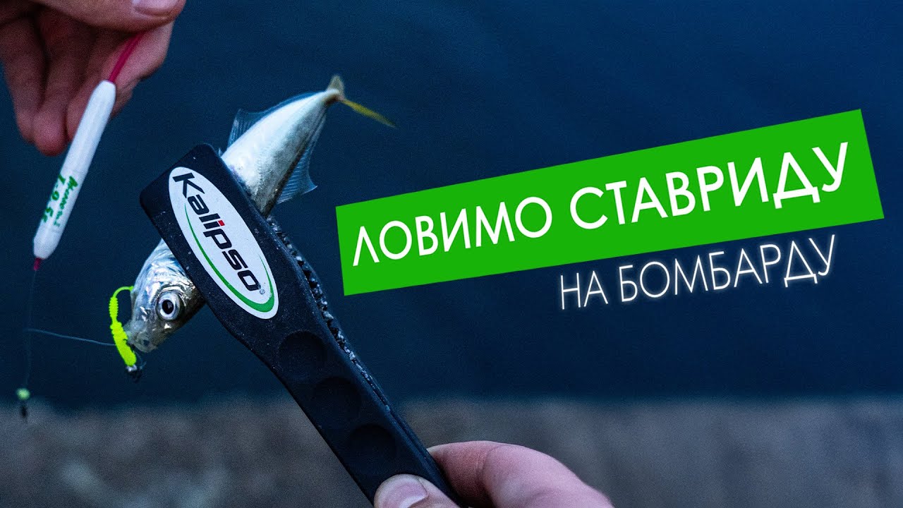 СТАВРИДА НА БОМБАРДУ | Ловимо в Одесі