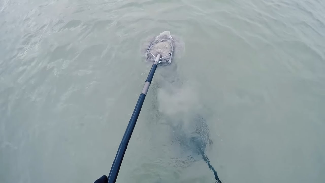 🌊💍 LUCKY AUTUMN DAY. GOLD SILVER. Underwater Metal Detecting on Azov Sea.