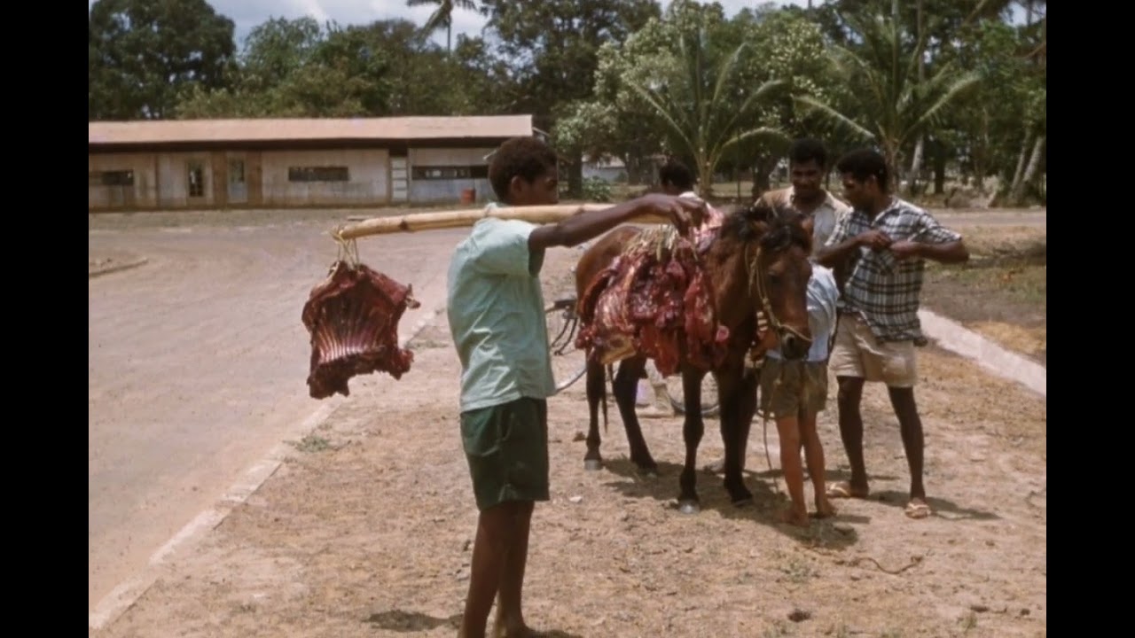 Wajah Kota Merauke - Ibu Kota Prov. Papua Selatan - Di Akhir Tahun 1950-an.