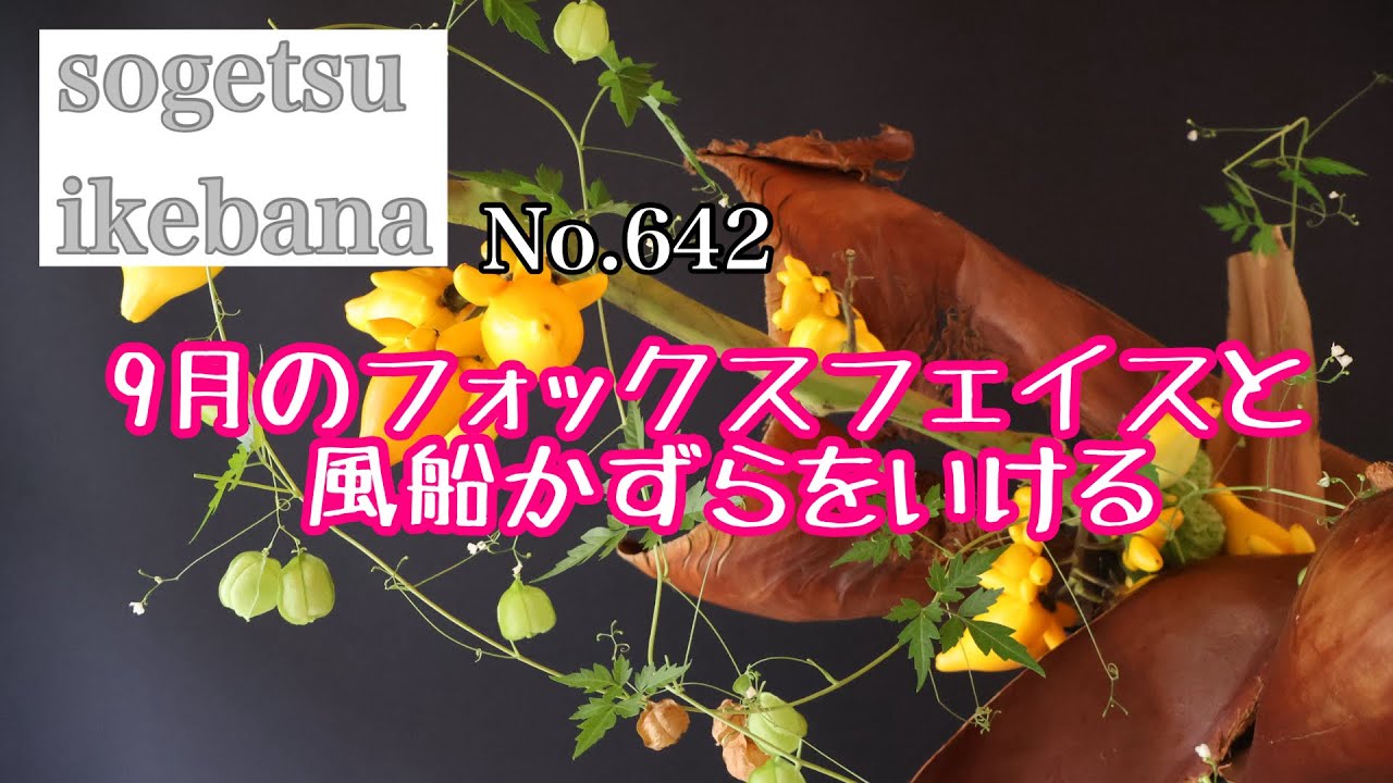 9月のフォックスフェイスと風船かずらをいける　No.642