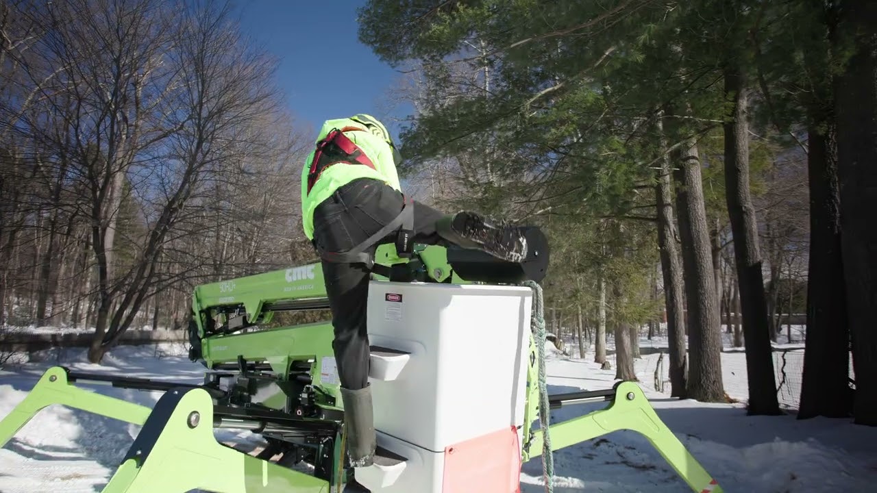 Tree Removal Doesn’t Stop for Winter ❄️ | M&G Tree Service