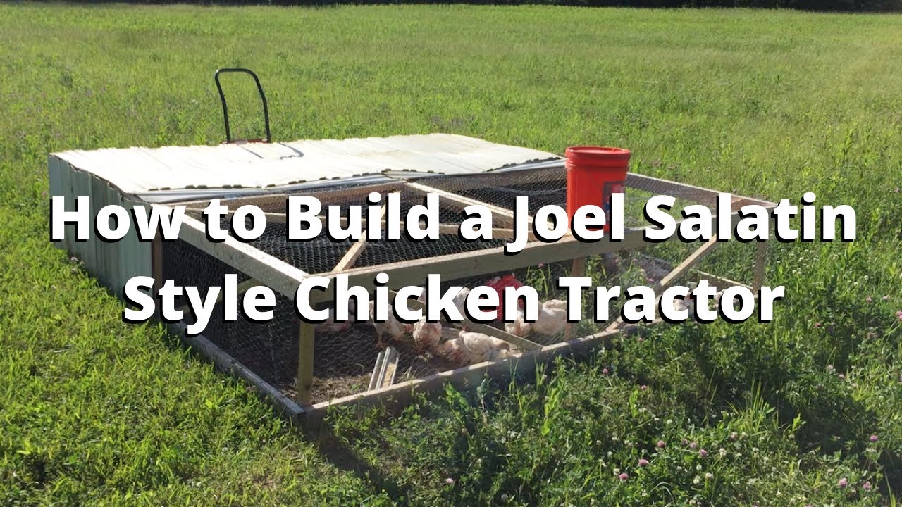 How to Build a Joel Salatin Style Chicken Tractor