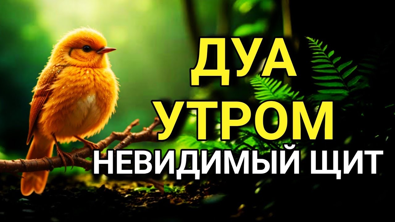 ☝️✨ НЕВИДИМЫЙ ЩИТ НА КАЖДЫЙ ДЕНЬ, ДУА УТРОМ 🤲💖💯