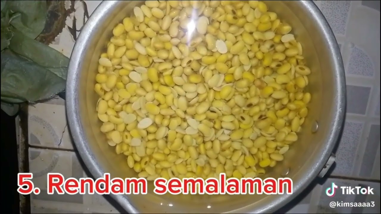 Bioteknologi #unukalbar #pgsdunukalbae