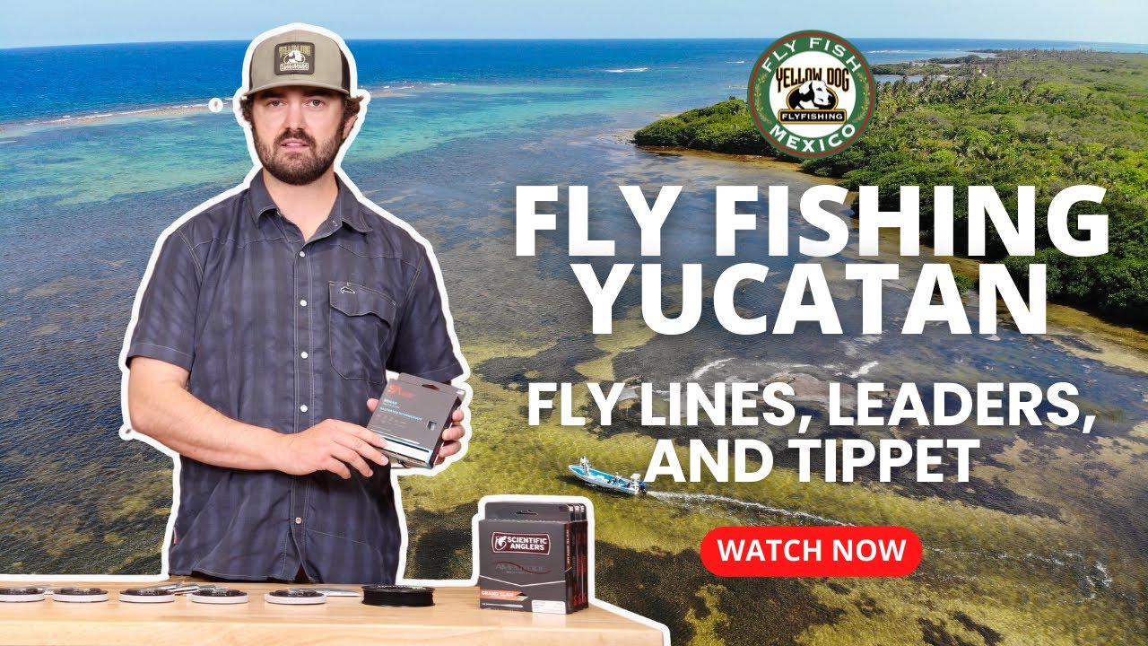 Fly Lines, Leaders, and Tippet for Fly Fishing The Yucatan