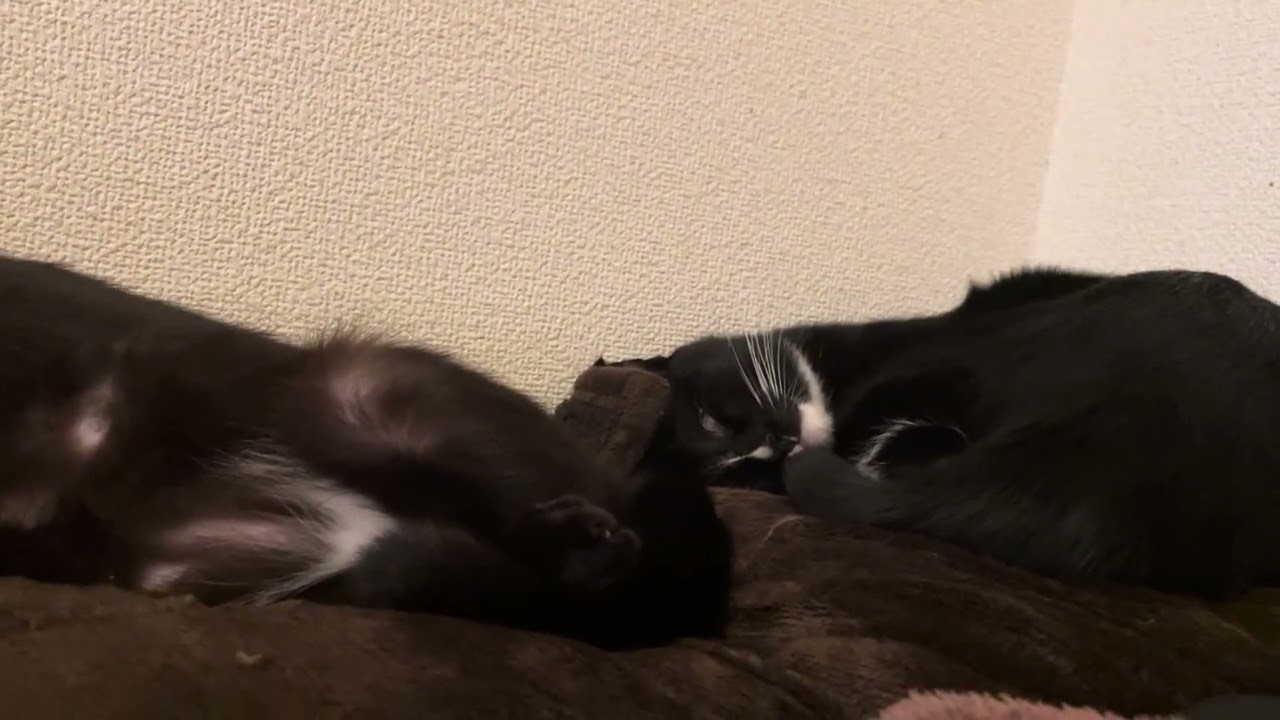 かわいい寝顔からの…ホラー👻