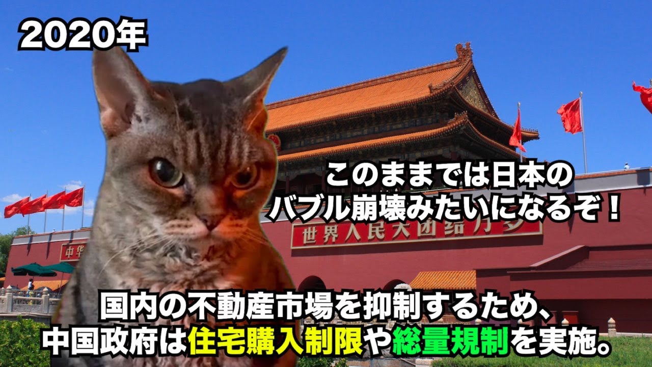 【恒大集団】中国の大手不動産会社が破産申請 #猫マニ #猫ミーム