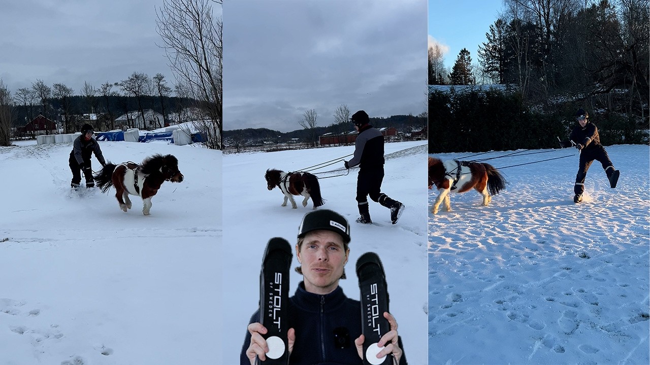 Скиджоринг с Bootski
