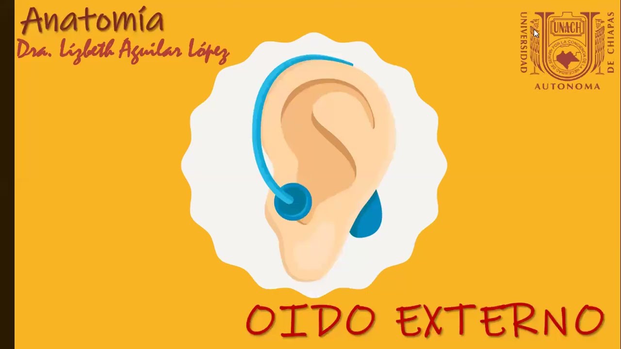 OIDO EXTERNO