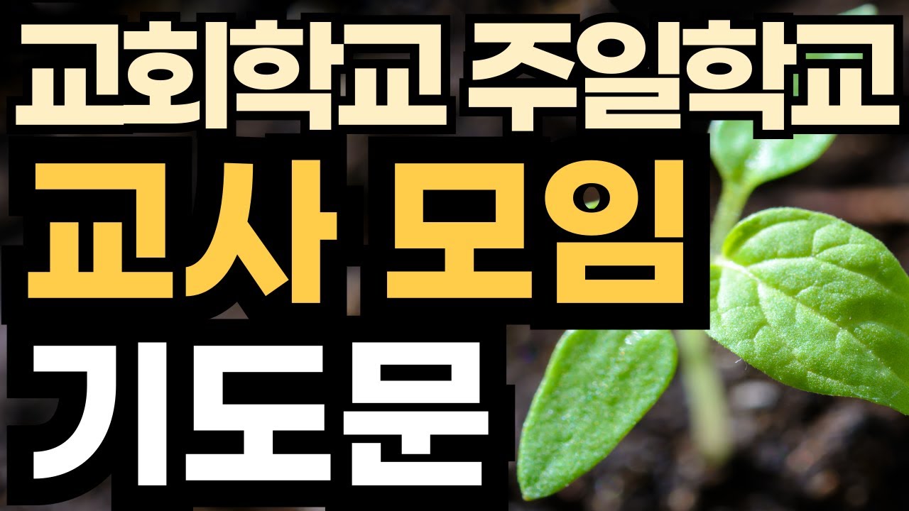 교사모임 기도문 l 교사회 대표기도 l 주일학교 교회학교 선생님 교사기도회 기도 예문 ㅣ 예배 기도 예시문