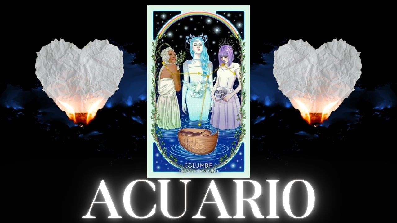 ACUARIO QUE FUERTE LO QUE VIENE TE VA A SORPRENDER//DESICIONES IMPORTANTES ❤️ #ACUARIO FEBRERO 2026
