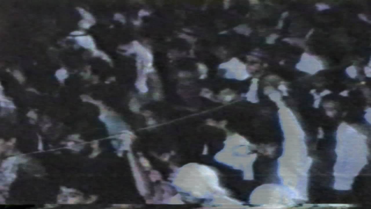 الرادود الشيخ زكي البحراني (12) سوريا