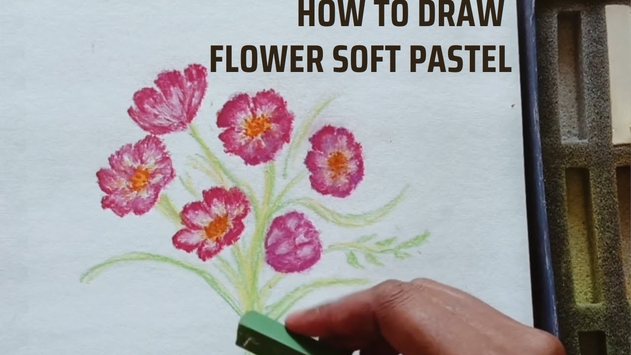 How to draw flowers with SOFTPASTELS | flowers drawing | draw flower with easy steps for beginners |