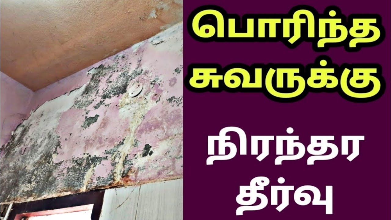 மழையால் சுவர் பொரிந்துள்ளதா ? Wall Crack Repair in Tamil - How to Seal Damp Wall - ASK Jhansi Videos
