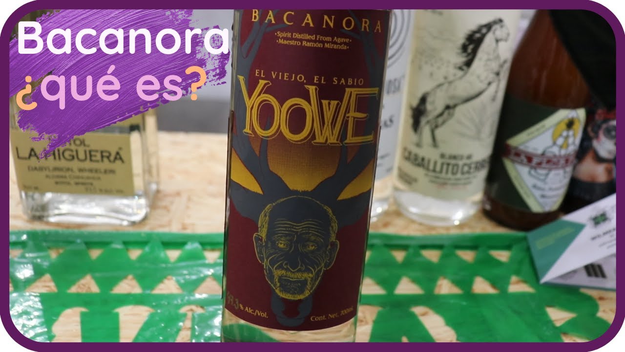 Que es BACANORA DE SONORA? 🥃 Necesito que pruebes esta MARAVILLA! 💯