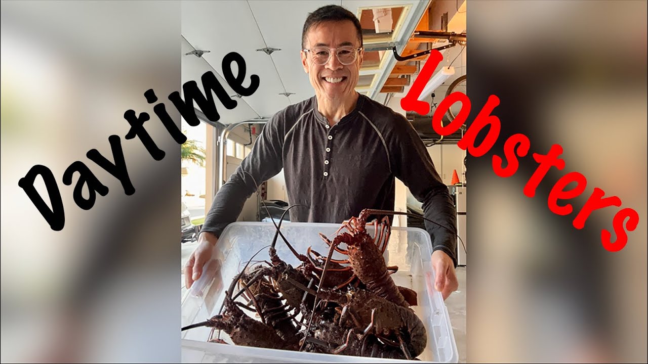 Day Diving Lobster Limit!!