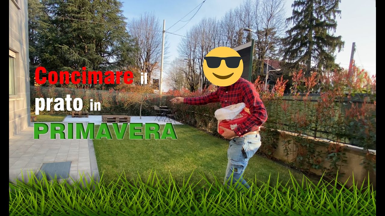 Concimazione del prato in primavera - Tutorial