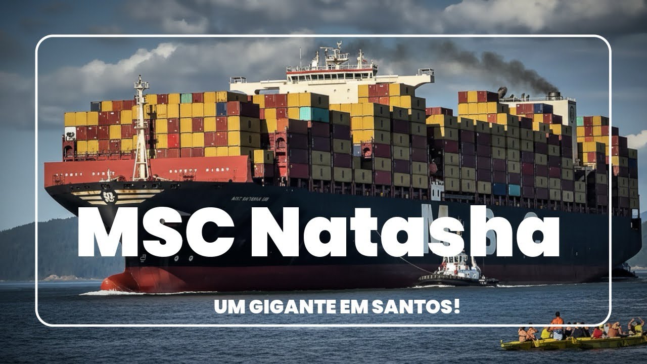 Quando o MSC Natasha chega, o porto para!  ✅ Inscreva-se no canal!
