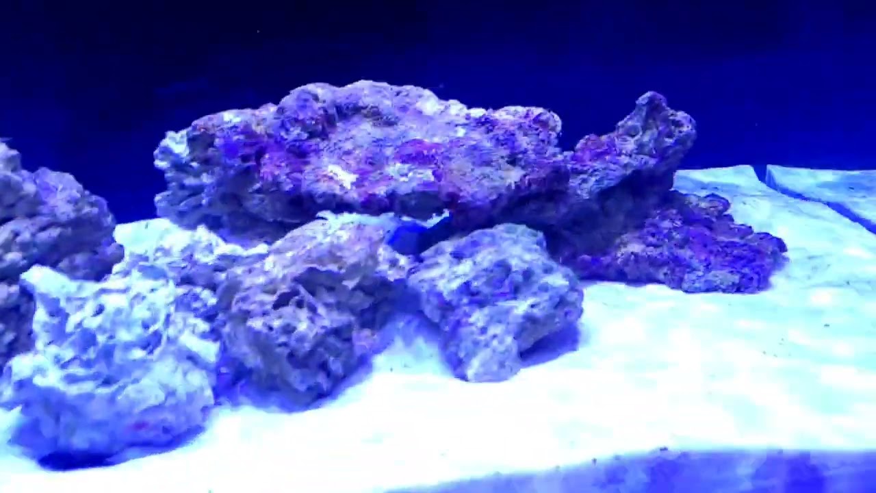 開缸一二三 (第一集): 新缸檢查，水循環及落水調節